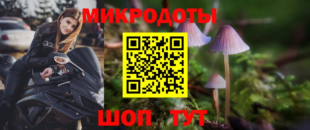 где купить наркоту  Псилоцибиновые грибы мицелий  Вход с VPN  Семилуки 